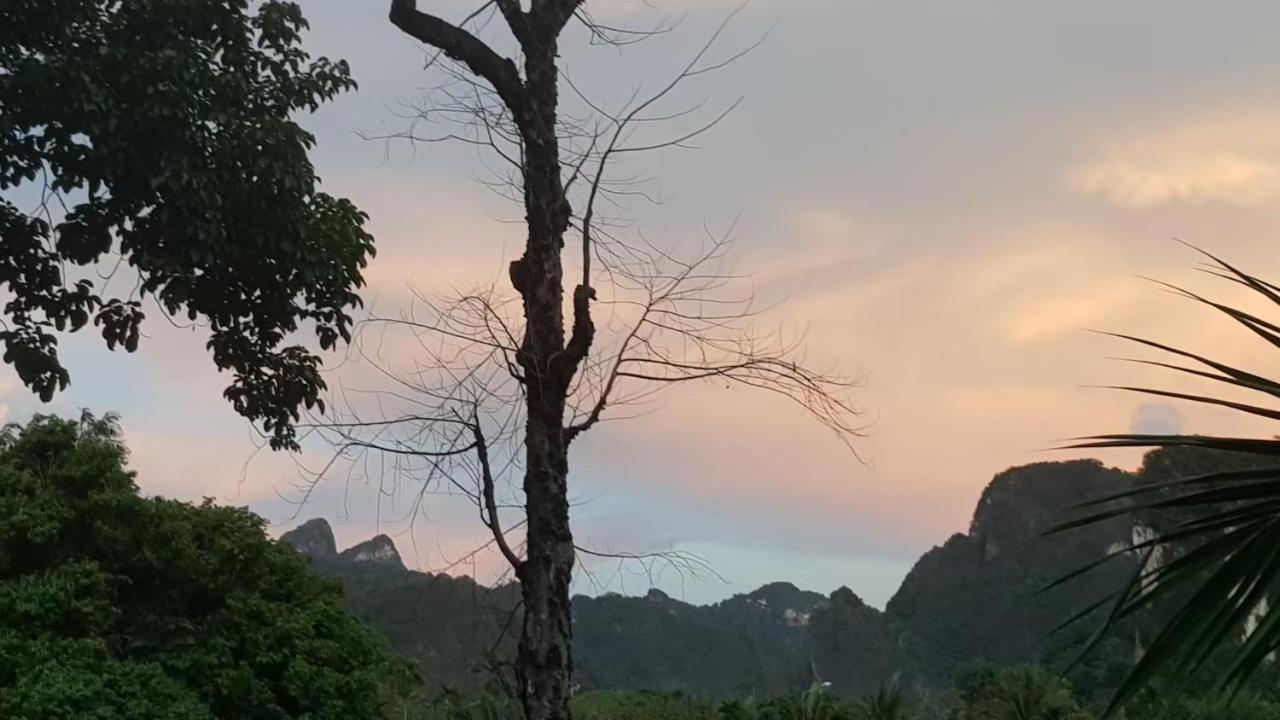 Phu Siab Mhok@KhaoSok Hotel Khao Sok National Park Ngoại thất bức ảnh